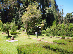 Japanische Gartenkunst